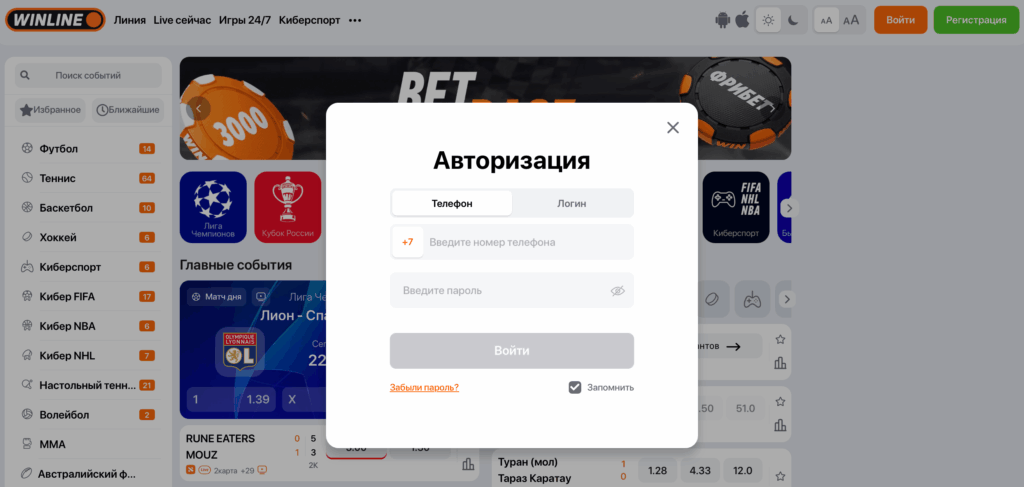 винлайн-авторизация