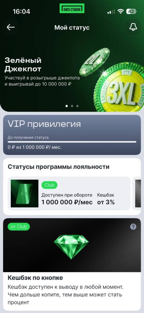Профиль пользователя в личном кабинете Лига Ставок