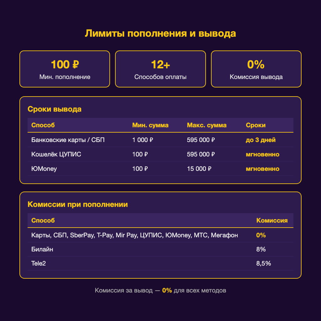 Инфографика способы пополнения и вывода