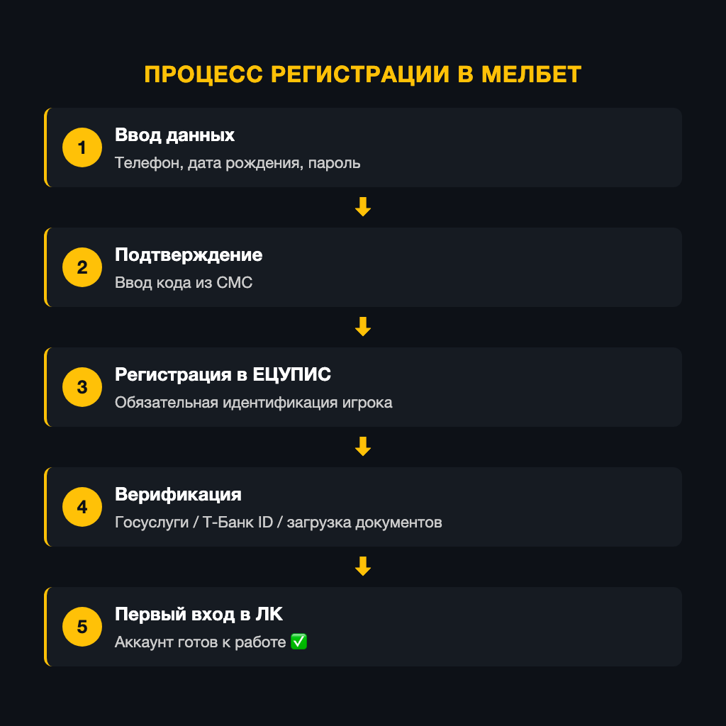 Пошаговый процесс от регистрации до первого входа в ЛК