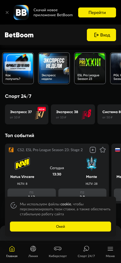 Главная страница betboom.ru