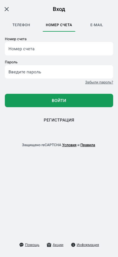 Форма входа Leon